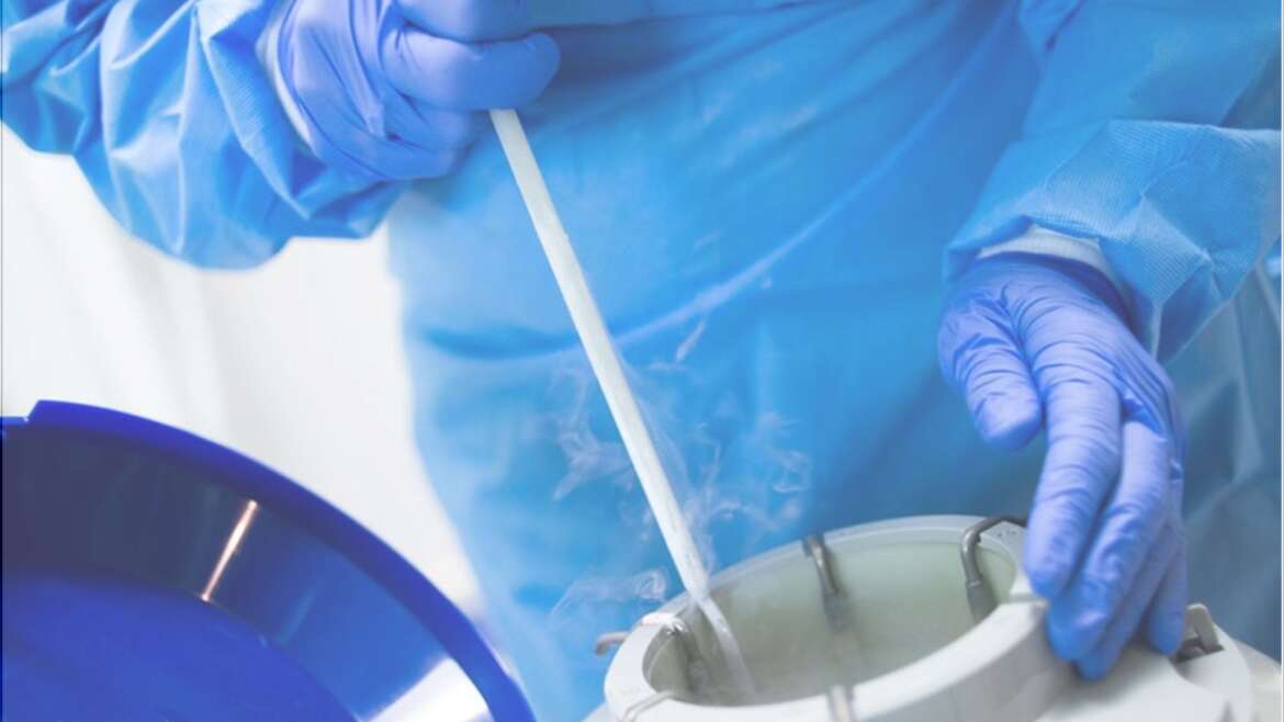 Egg Freezing / Fertility Preservation