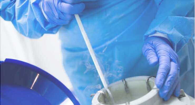 Egg Freezing / Fertility Preservation