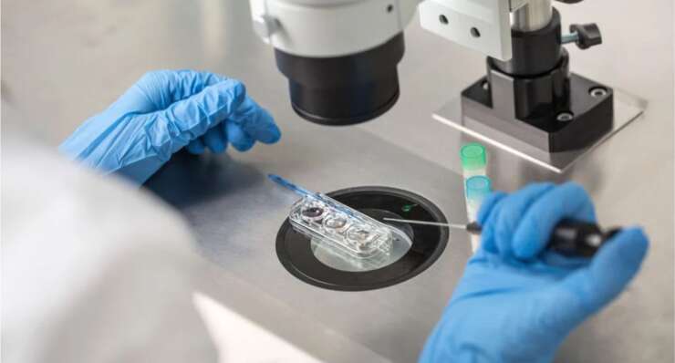 Blastocyst culture