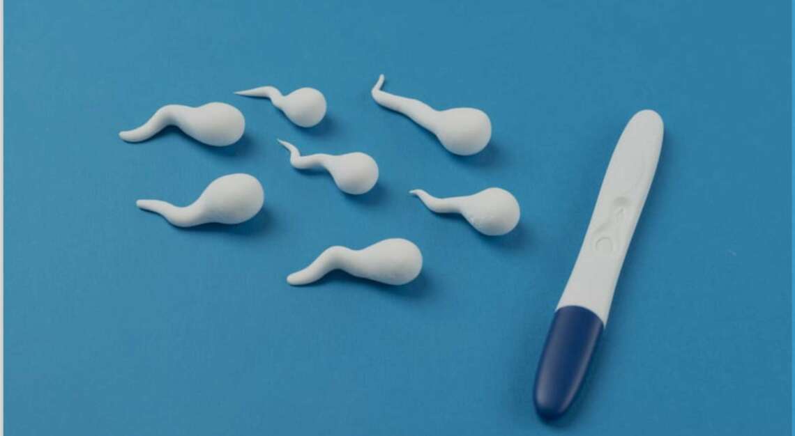 Breaking Myths About Male Fertility