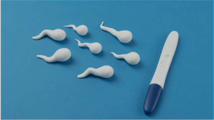Breaking Myths About Male Fertility