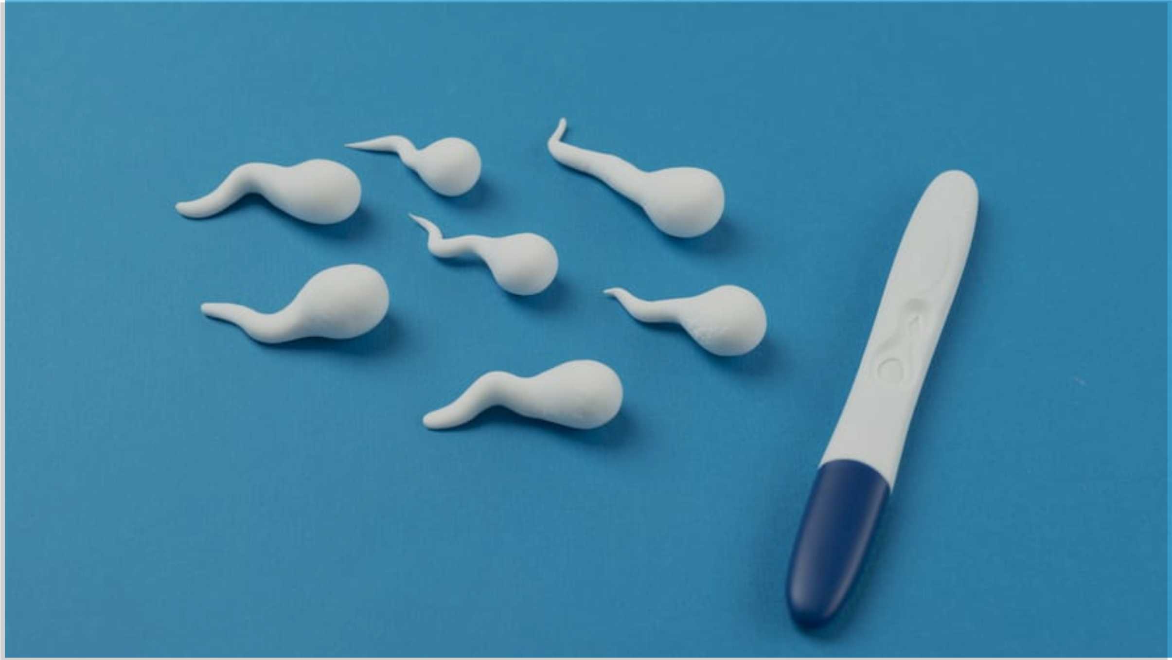 Breaking Myths About Male Fertility