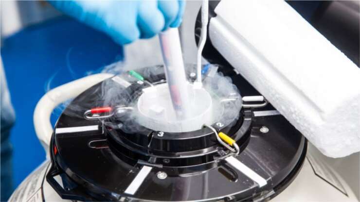 Embryo Freezing