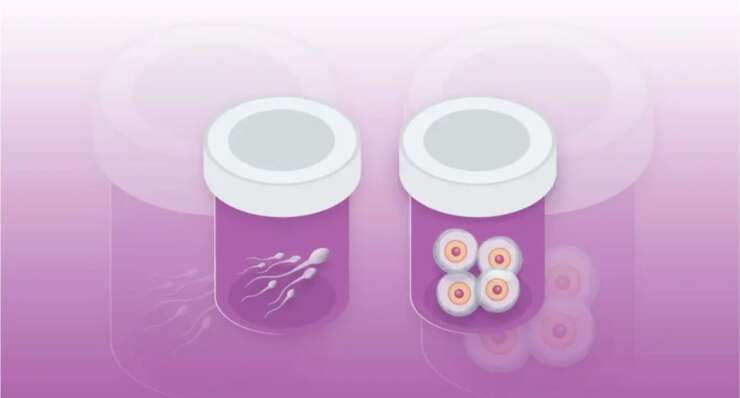 Gamete Donation programmes