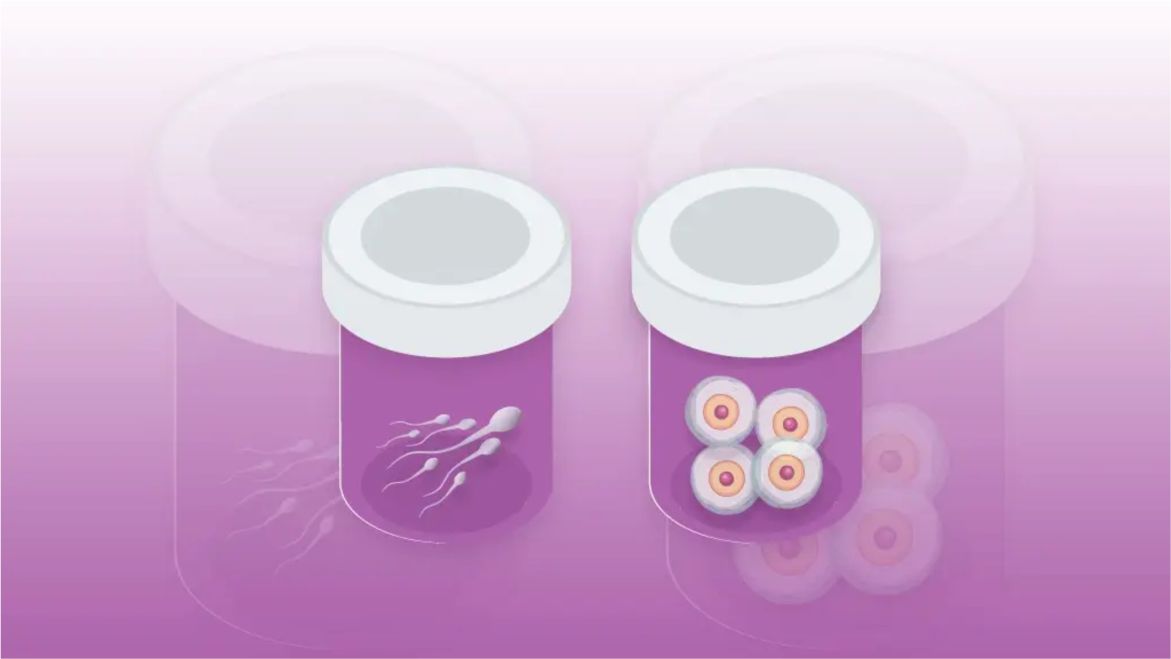 Gamete Donation programmes