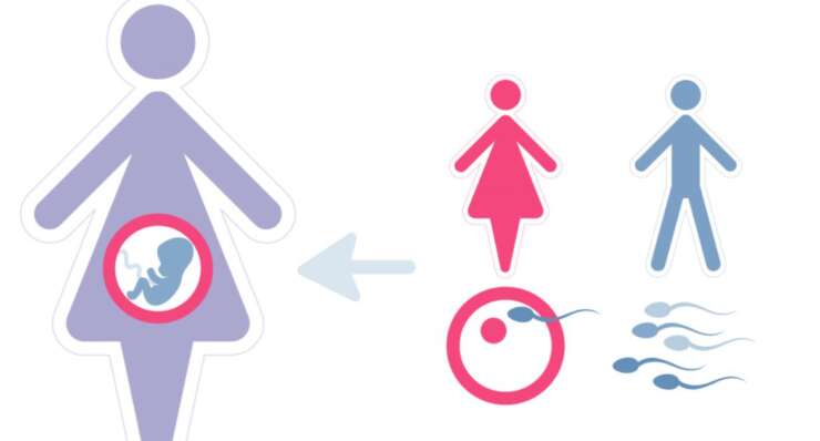 Gestational Carrier — Surrogacy Program