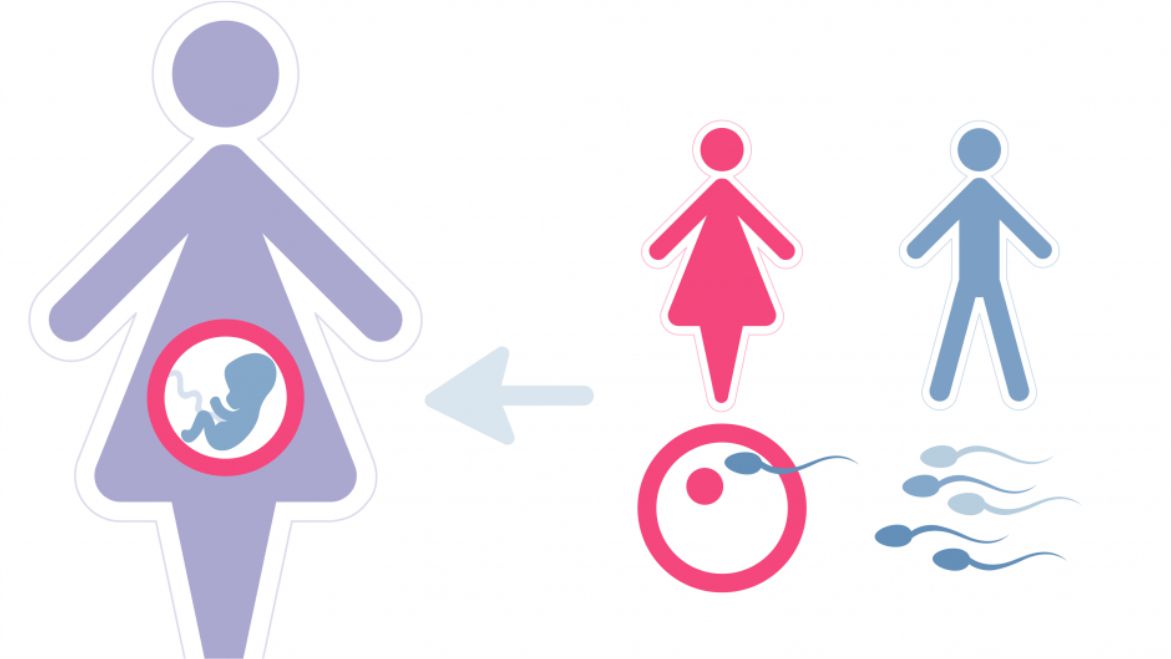Gestational Carrier — Surrogacy Program