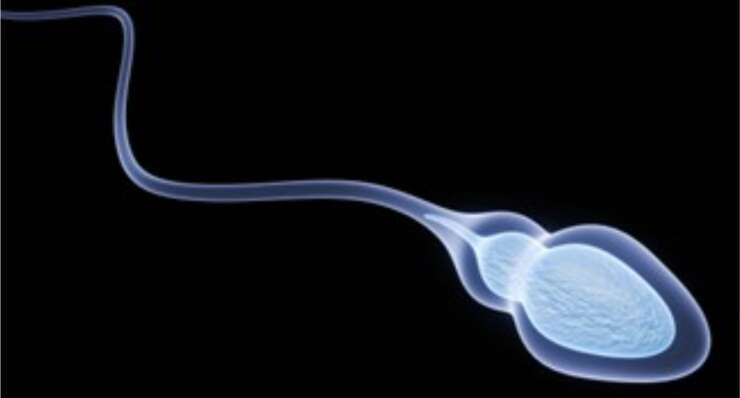 Testicular Sperm Aspiration (TESA)